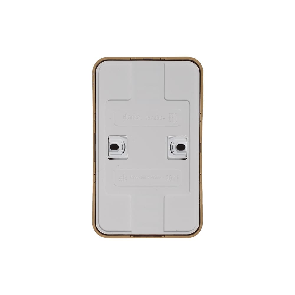 Розетка двойная с заземлением и защитными шторками Systeme (Schneider) Electric Blanca BLNRA011215 (ясень)