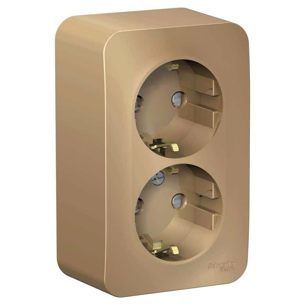 Розетка двойная с заземлением и защитными шторками Systeme Electric Blanca BLNRA011214, цвет титан, защита от детей, два разъема с заземлением.