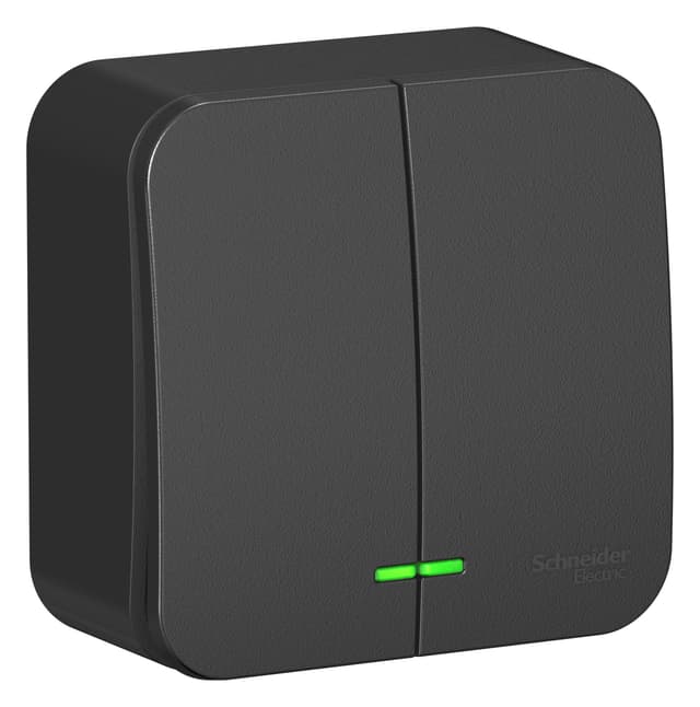 Выключатель двухклавишный с подсветкой Systeme Electric Blanca BLNVA105116, цвет антрацит, светящиеся клавиши, управление двумя группами света.