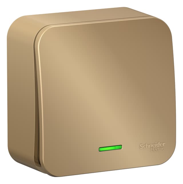 Выключатель одноклавишный проходной с подсветкой Systeme Electric Blanca BLNVA106114, цвет титан, световой индикатор, управление светом из двух мест.