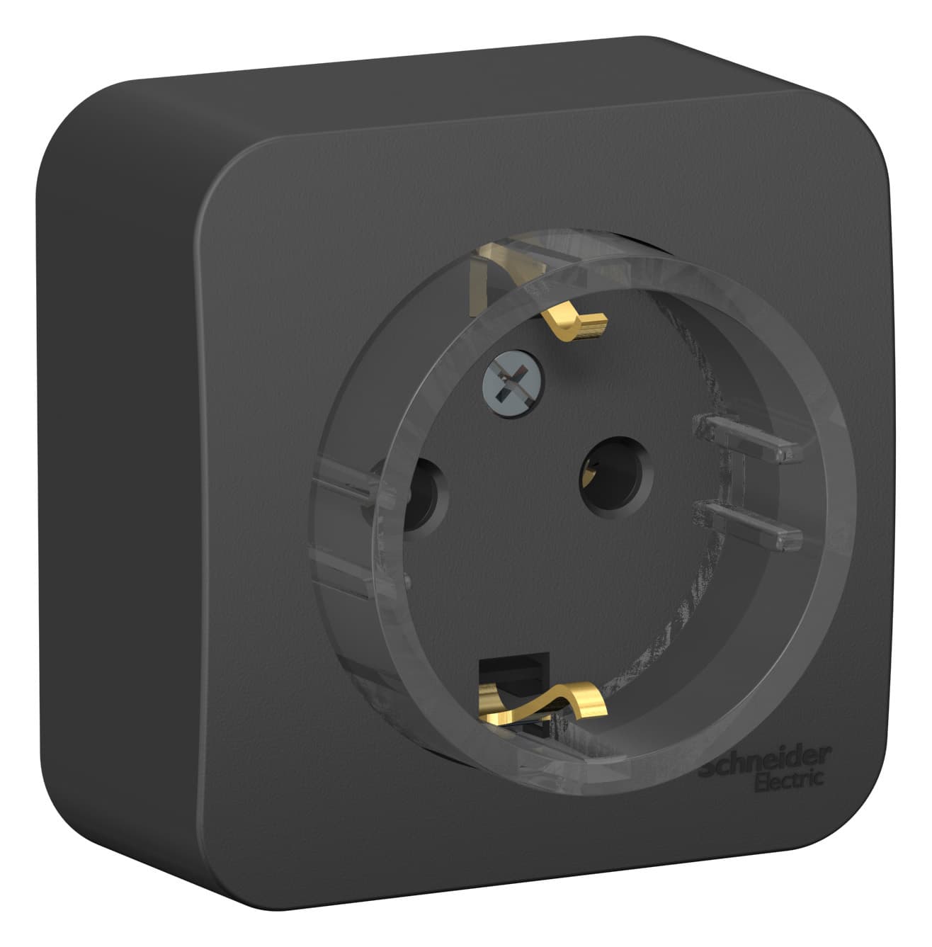 Розетка с заземлением Systeme Electric Blanca BLNRA110116, цвет антрацит, с заземляющим контактом.