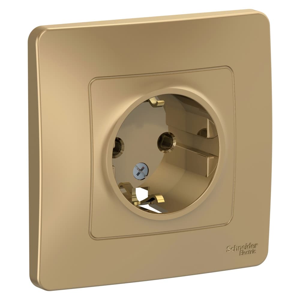 Розетка с заземлением Systeme Electric Blanca BLNRS001014, цвет титан, для скрытого монтажа, с заземляющим контактом.