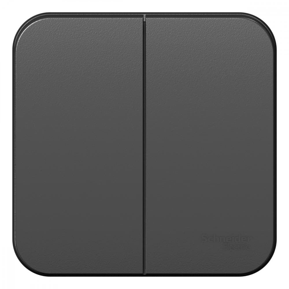 Выключатель 2-клавишный Systeme (Schneider) Electric Blanca BLNVA105016 (антрацит)