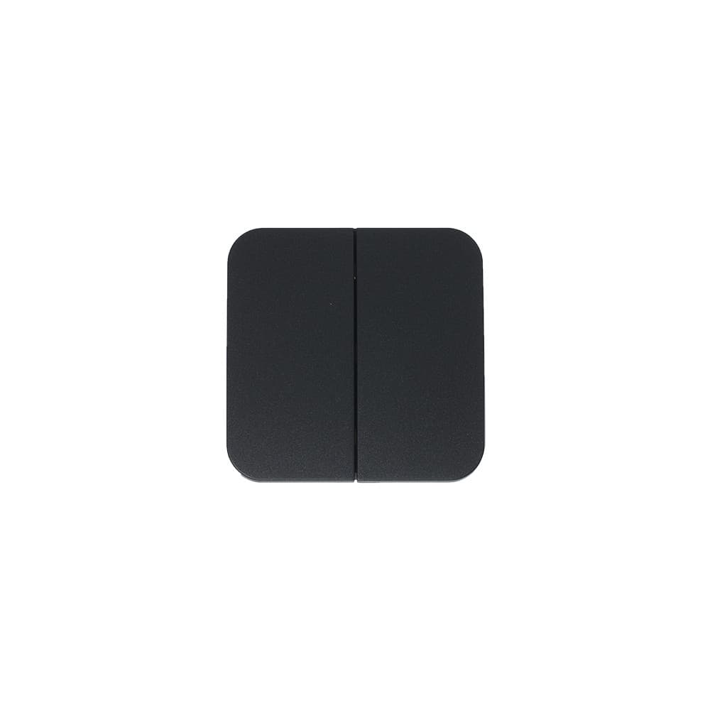 Выключатель 2-клавишный Systeme (Schneider) Electric Blanca BLNVA105016 (антрацит)