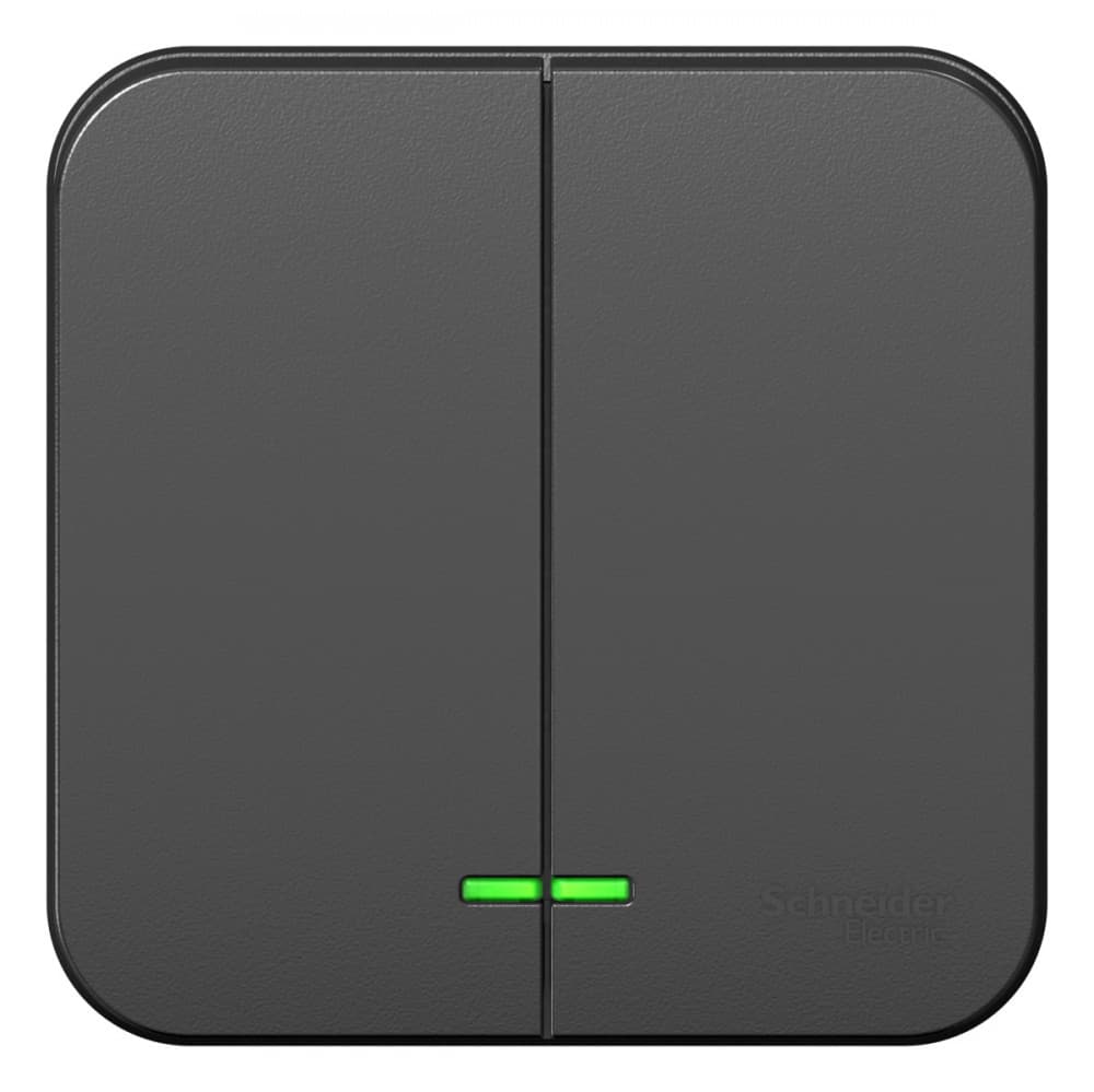 Выключатель 2-клавишный с подсветкой Systeme (Schneider) Electric Blanca BLNVA105116 (антрацит)