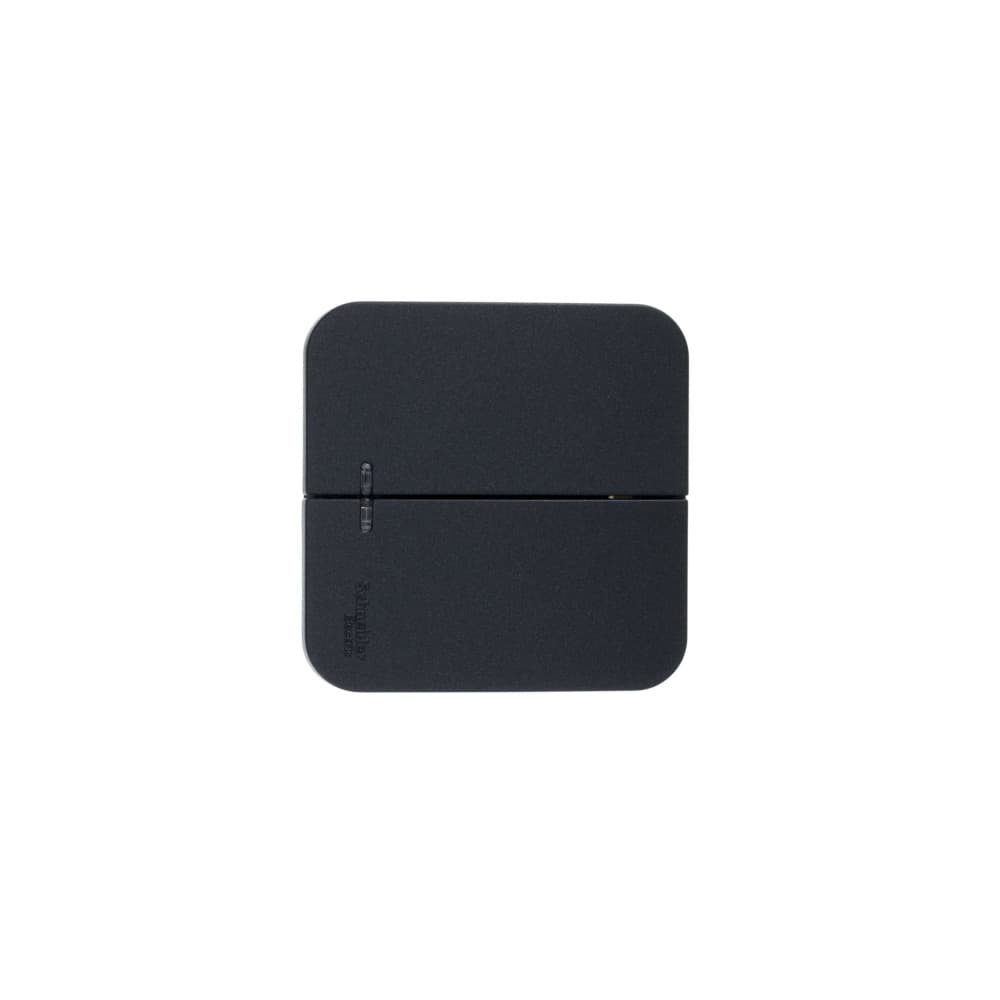 Выключатель 2-клавишный с подсветкой Systeme (Schneider) Electric Blanca BLNVA105116 (антрацит)