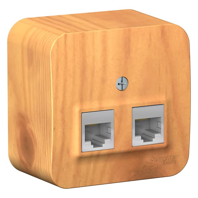 Розетка двойная компьютерная (интернет) Systeme Electric Blanca BLNIA045455, цвет ясень, два порта RJ45 Cat.5e, накладная открытой установки.