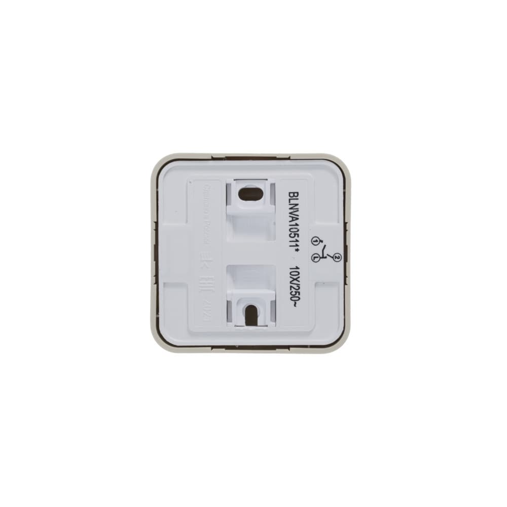 Выключатель 2-клавишный с подсветкой Systeme (Schneider) Electric Blanca BLNVA105117 (бежевый)