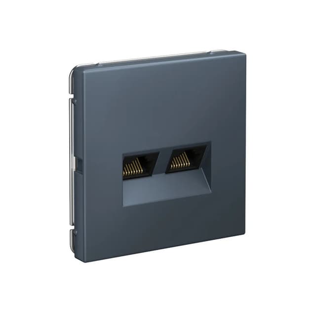 Дизайнерская двойная компьютерная розетка категории 6A (Cat.6A) Systeme Electric ArtGallery, два порта RJ45, цвет грифель