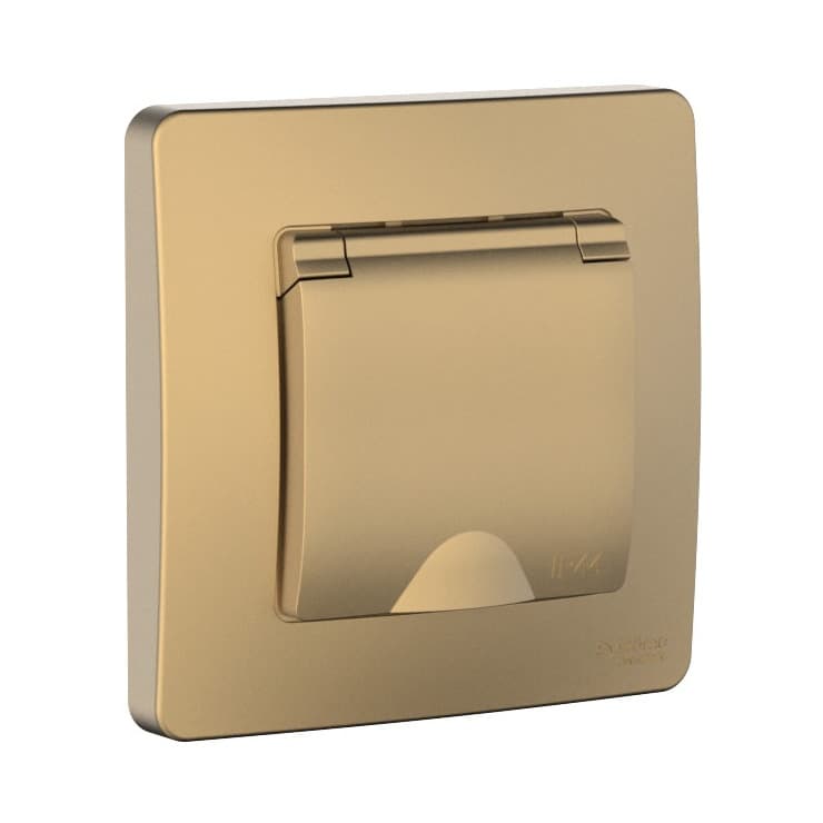 Розетка с заземлением, защитными шторками и крышкой Systeme Electric Blanca BLNRS441114, цвет титан, для влажных помещений, усиленная защита.