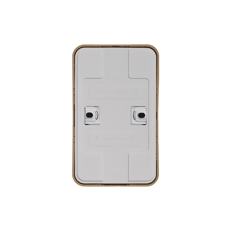 Розетка двойная с заземлением и защитными шторками Systeme (Schneider) Electric Blanca BLNRA011215 (ясень)