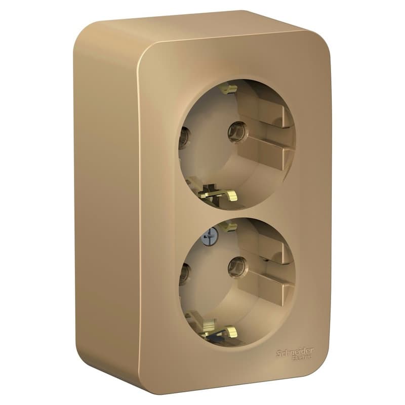 Розетка двойная с заземлением Systeme Electric Blanca BLNRA010214, цвет титан, два евроразъема с заземлением.