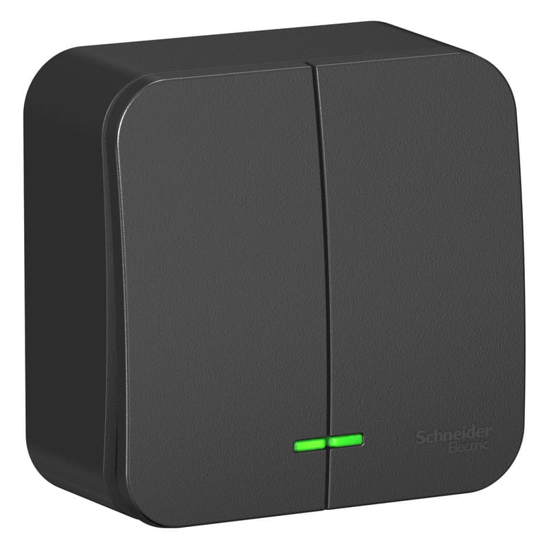 Выключатель двухклавишный с подсветкой Systeme Electric Blanca BLNVA105116, цвет антрацит, светящиеся клавиши, управление двумя группами света.