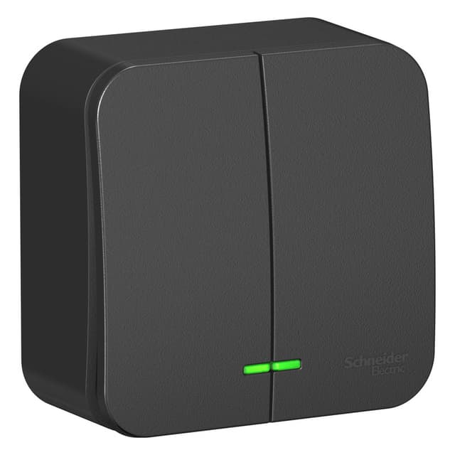 Выключатель двухклавишный с подсветкой Systeme Electric Blanca BLNVA105116, цвет антрацит, светящиеся клавиши, управление двумя группами света.