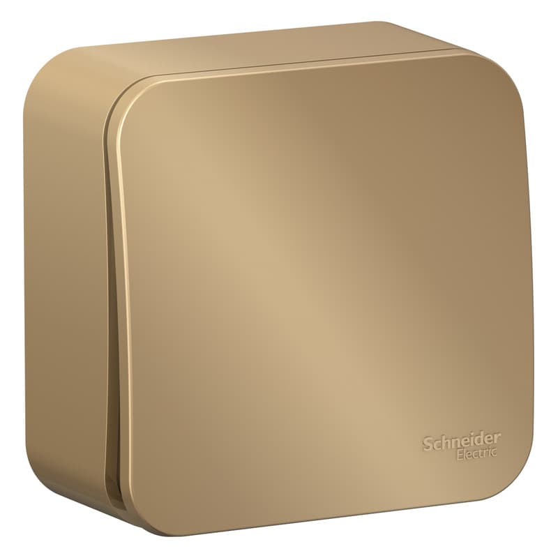 Выключатель одноклавишный Systeme Electric Blanca BLNVA101014, цвет титан, с рамкой.