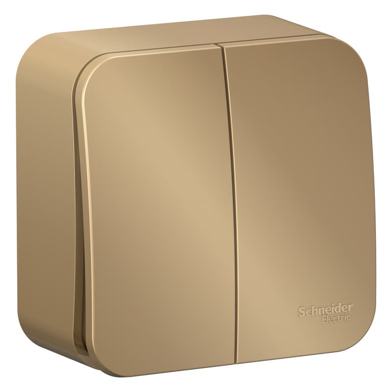 Выключатель двухклавишный Systeme Electric Blanca BLNVA105014, цвет титан, для управления двумя линиями освещения.