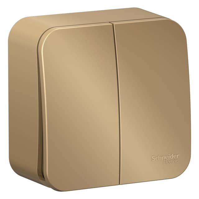 Выключатель двухклавишный Systeme Electric Blanca BLNVA105014, цвет титан, для управления двумя линиями освещения.