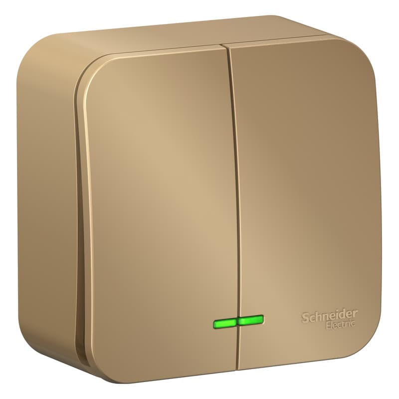 Выключатель двухклавишный с подсветкой Systeme Electric Blanca BLNVA105114, цвет титан, светящиеся клавиши, управление двумя группами света.