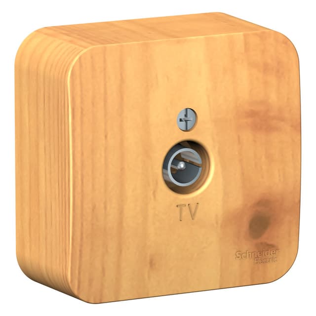 Розетка TV оконечная Systeme Electric Blanca BLNTA000015, цвет ясень, накладная открытой установки, глянцевая, с изолирующей пластиной.
