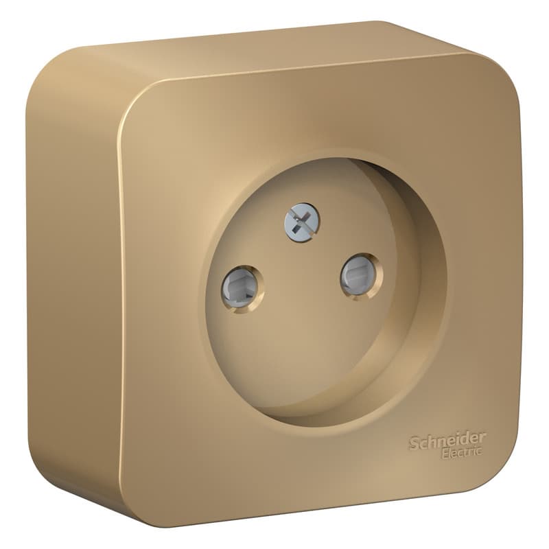 Розетка без заземления с защитными шторками Systeme Electric Blanca BLNRA001114, цвет титан, защита от детей.