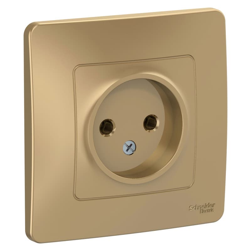 Розетка без заземления Schneider Electric Blanca титан BLNRS000014