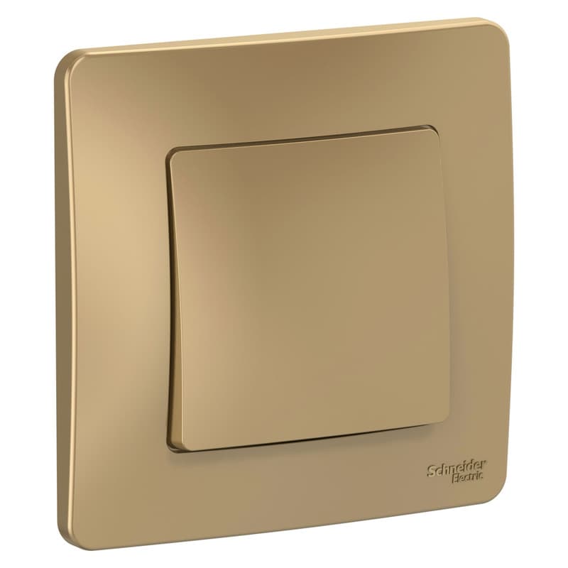 Выключатель одноклавишный проходной Systeme Electric Blanca BLNVS010604, цвет титан, для управления светом из двух мест, скрытый монтаж.