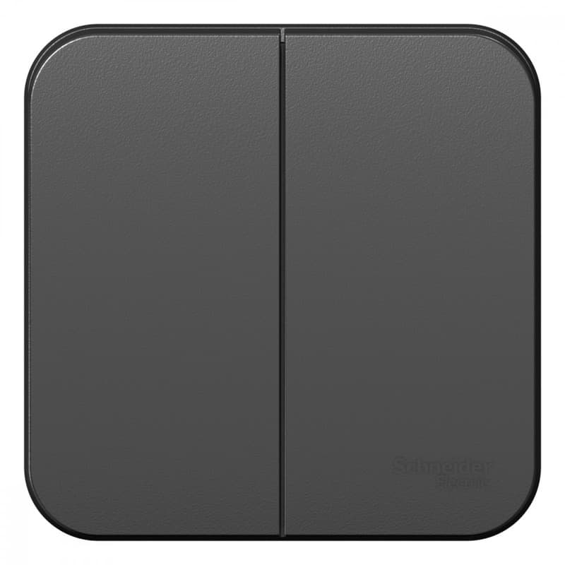 Выключатель 2-клавишный Systeme (Schneider) Electric Blanca BLNVA105016 (антрацит)