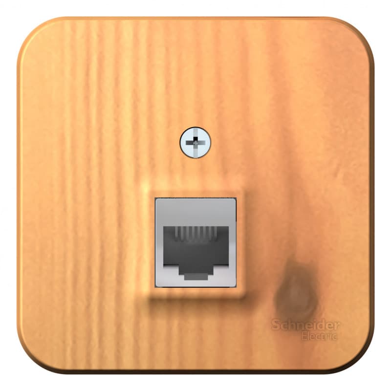 Розетка компьютерная (интернет) Systeme Electric Blanca BLNIA045005, цвет ясень, разъем RJ45.