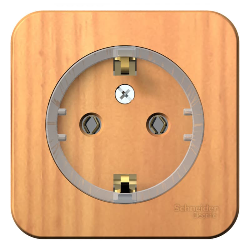 Розетка с заземлением Systeme (Schneider) Electric Blanca BLNRA110115 (ясень)