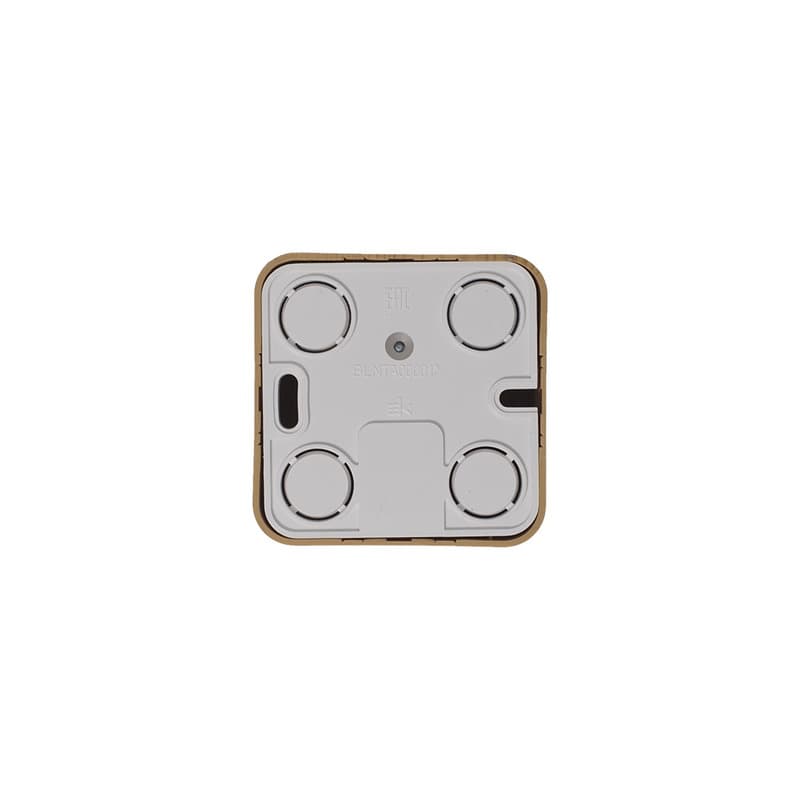 Розетка TV оконечная Systeme (Schneider) Electric Blanca BLNTA000015 (ясень)