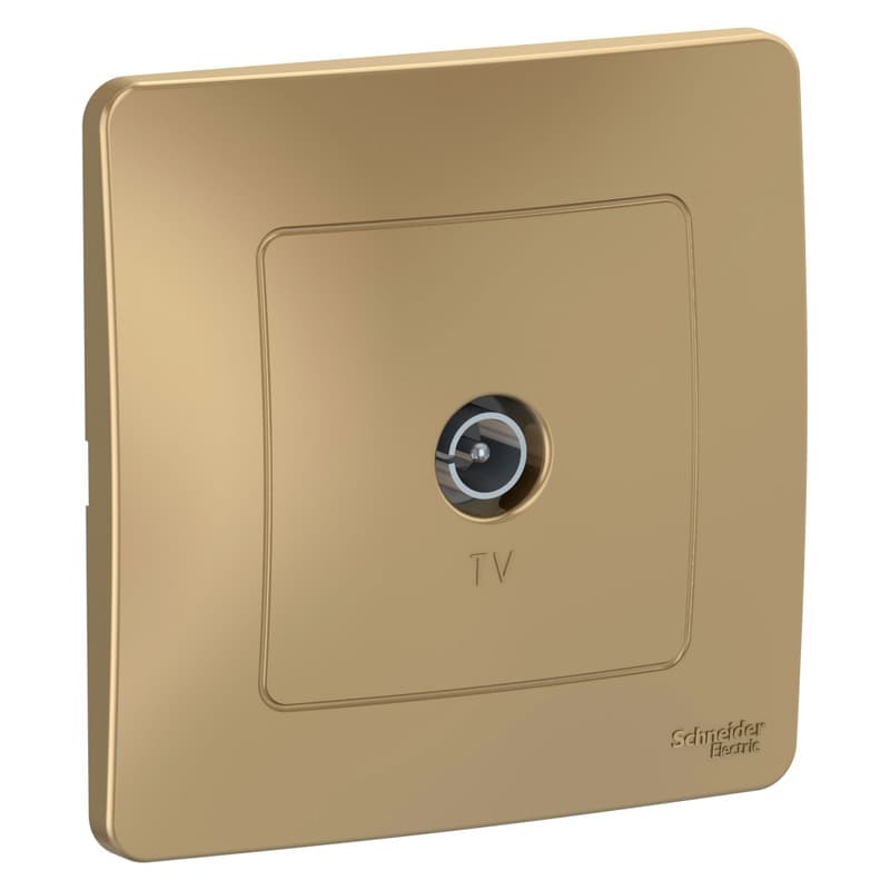 Телевизионная розетка оконечная Systeme Electric Blanca BLNTS000014, цвет титан, для антенны, для скрытого монтажа.