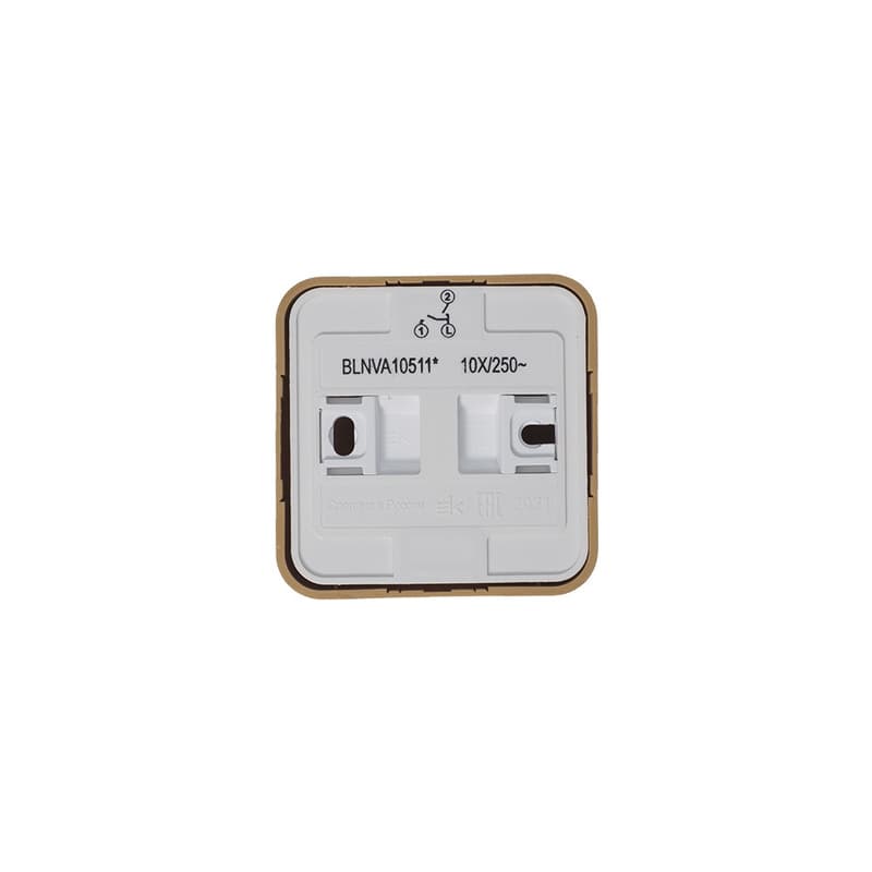 Выключатель 2-клавишный с подсветкой Systeme (Schneider) Electric Blanca BLNVA105115 (ясень)