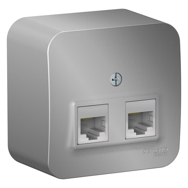Розетка двойная компьютерная (интернет) Systeme Electric Blanca BLNIA045453, цвет алюминий, два порта RJ45 Cat.5e, для скрытого монтажа.