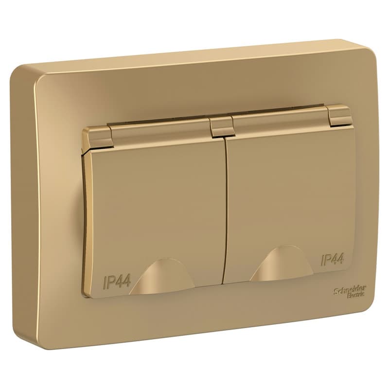 Розетка двойная с заземлением, защитными шторками и крышкой Systeme Electric Blanca BLNRS441124, цвет титан, влагозащищенная, для улицы или ванной.