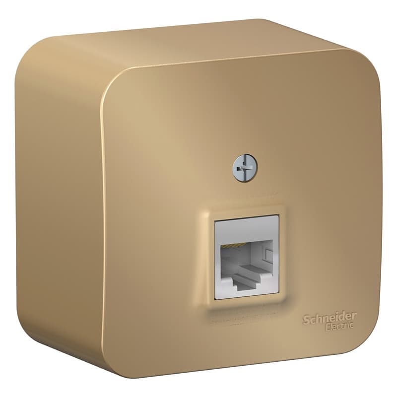 Розетка компьютерная (интернет) Systeme Electric Blanca BLNIA045004, цвет титан, разъем RJ45 Cat.5e.