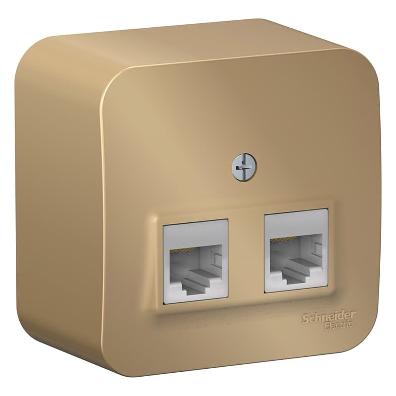Розетка двойная компьютерная (интернет) Systeme Electric Blanca BLNIA045454, цвет титан, два порта RJ45 Cat.5e.