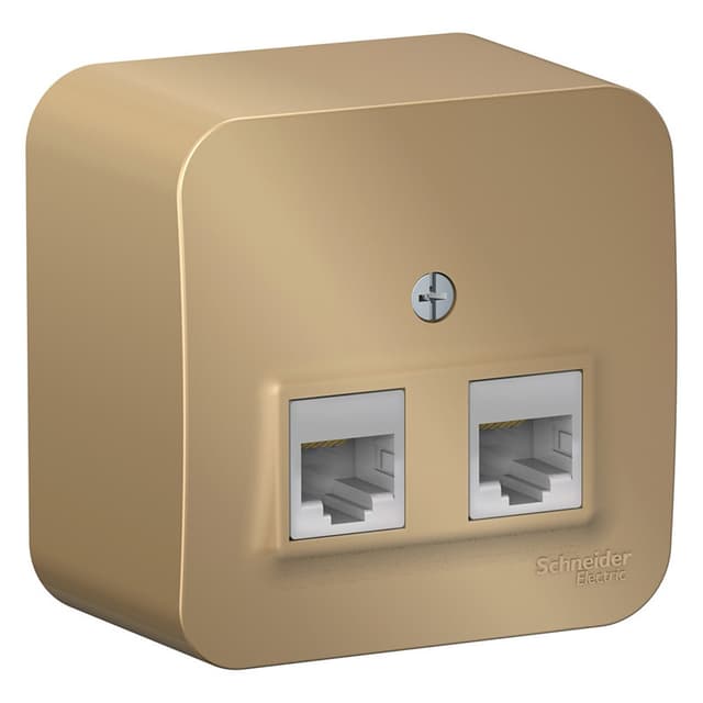 Розетка двойная компьютерная (интернет) Systeme Electric Blanca BLNIA045454, цвет титан, два порта RJ45 Cat.5e.