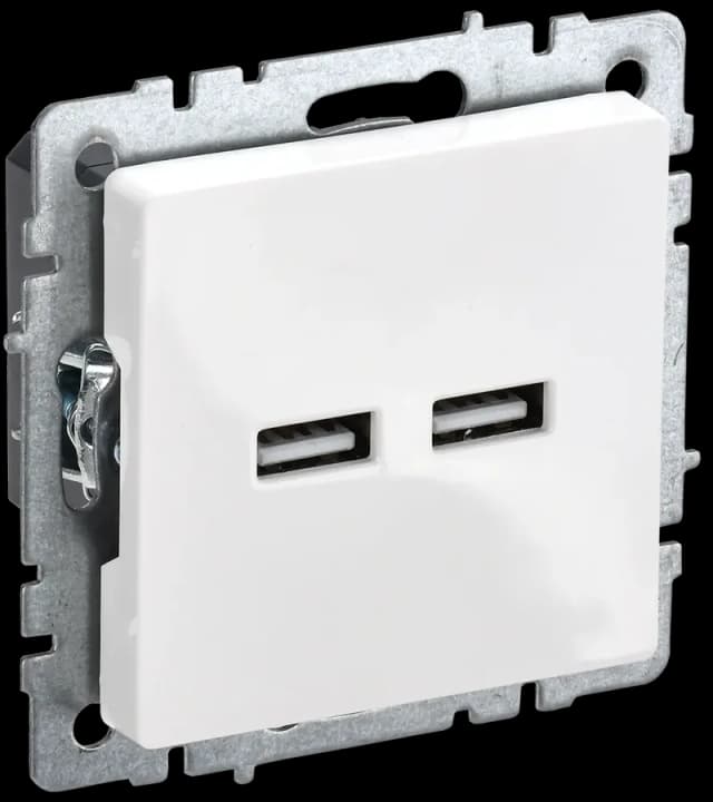 Розетка USB IEK BRITE BR-U21-D31-K01 (белый)