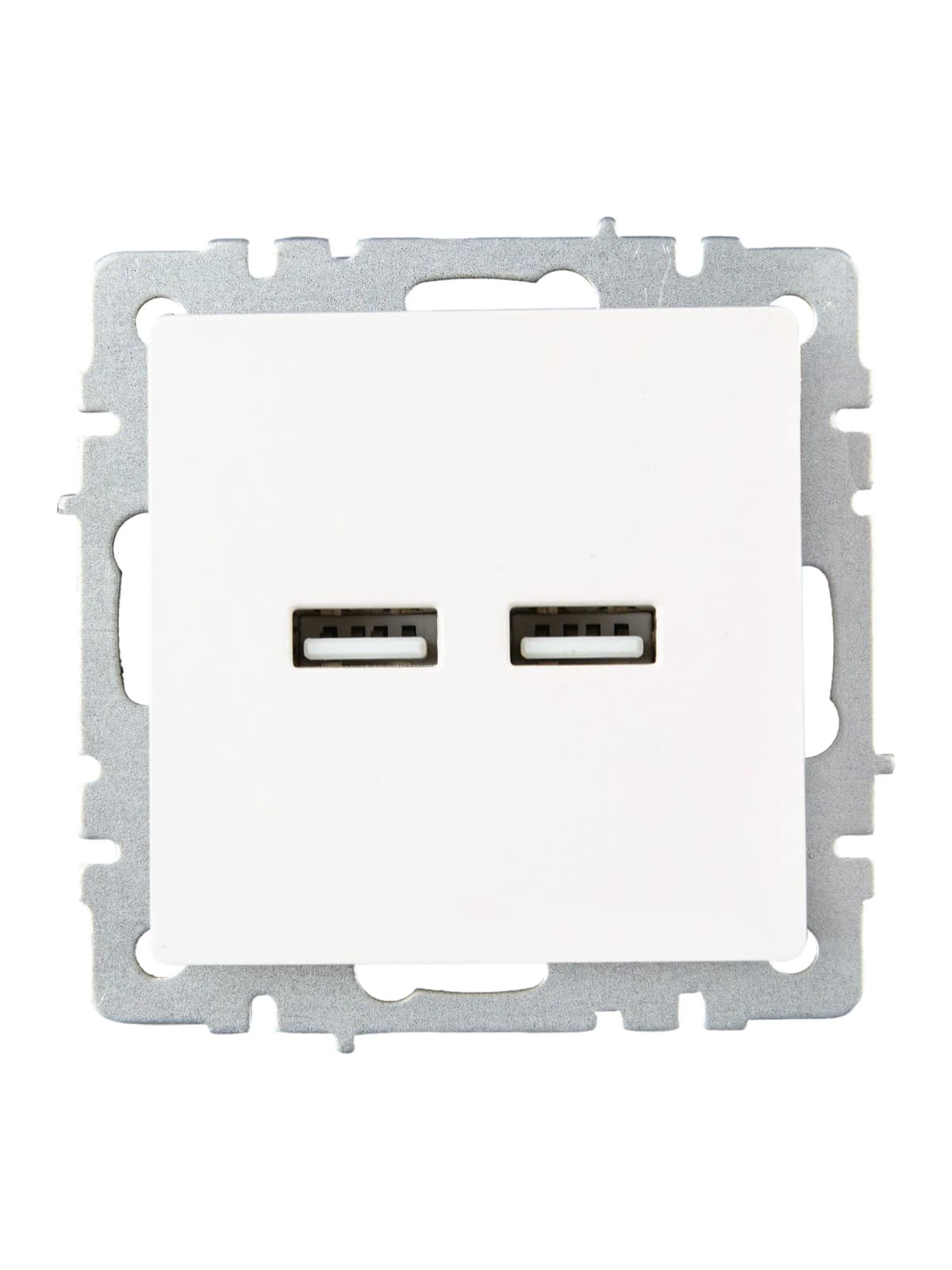 Розетка USB IEK BRITE BR-U21-D31-K36 (жемчужный), фото 2