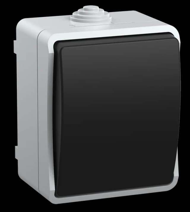 Выключатель 1-клавишный проходной наружный IEK EVS10-K03-10-54-DC (серый)