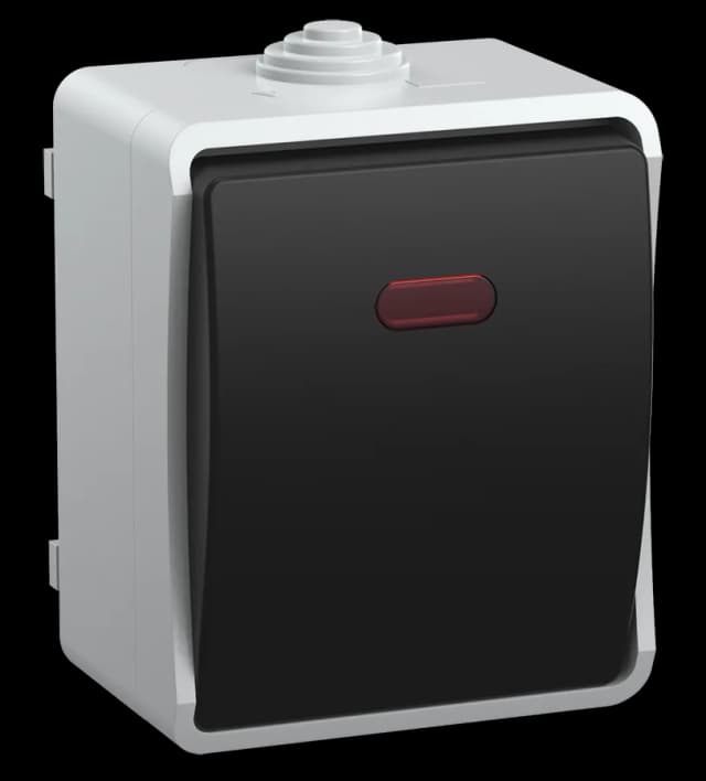 Выключатель 1-клавишный проходной с подсветкой наружный IEK EVS11-K03-10-54-DC (серый)