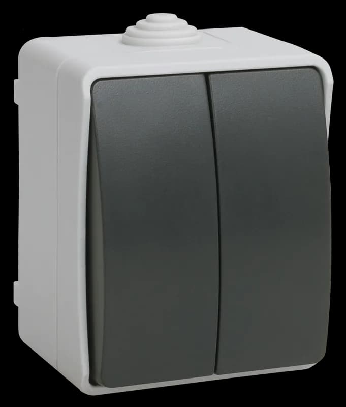 Выключатель 2-клавишный наружный IEK EVS20-K03-10-54-DC (серый)