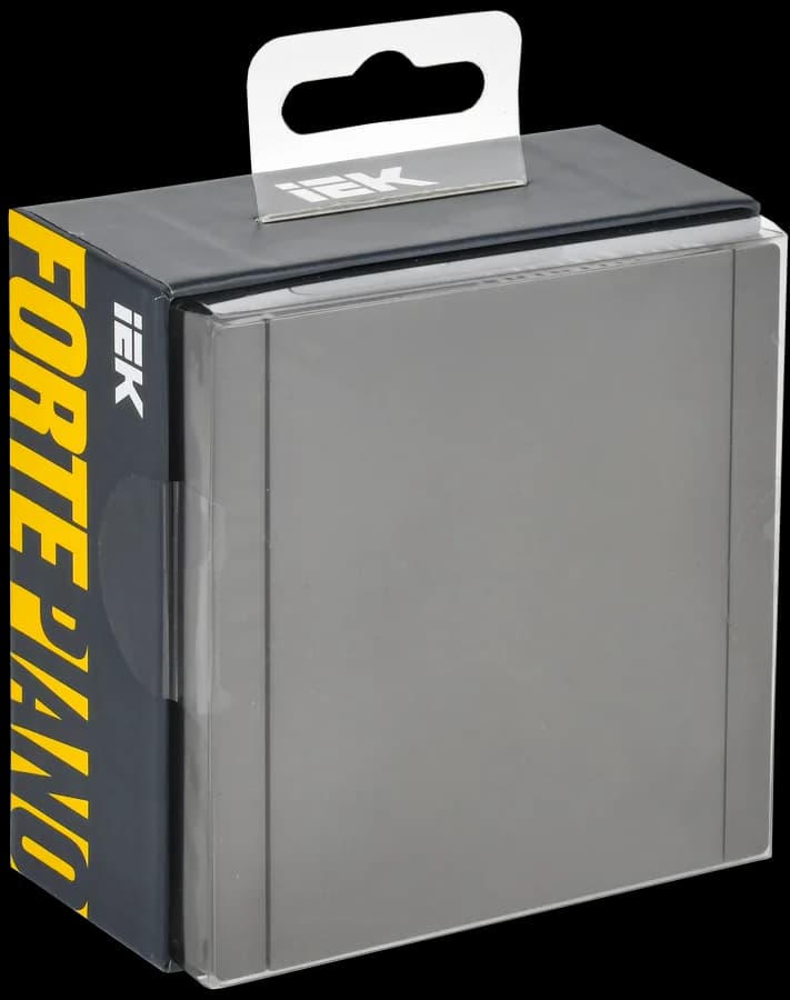 Розетка с заземлением, защитными шторками и крышкой IEK FORTE&PIANO FP-R16-16-44-K46 (сталь), фото 2