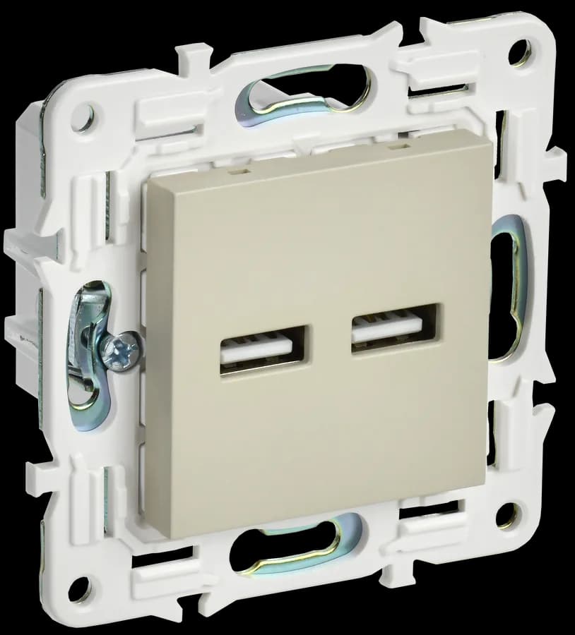 Розетка USB IEK SKANDY SK-U21-D31-K10 (бежевый)