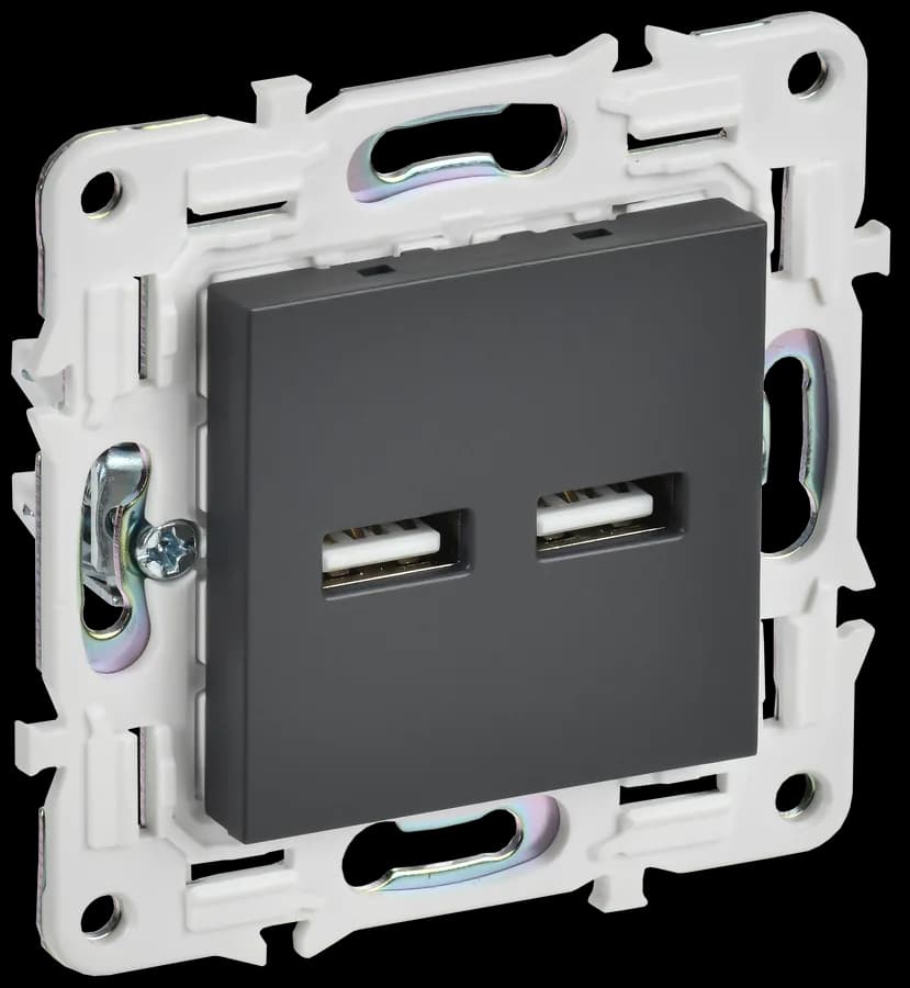 Розетка USB IEK SKANDY SK-U21-D31-K48 (титан)