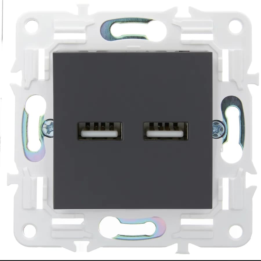 Розетка USB IEK SKANDY SK-U21-D31-K48 (титан), фото 2