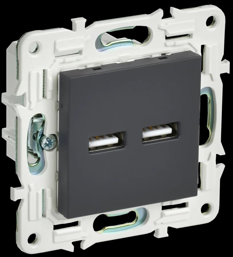 Розетка USB IEK SKANDY SK-U21-D31-K53 (графит)