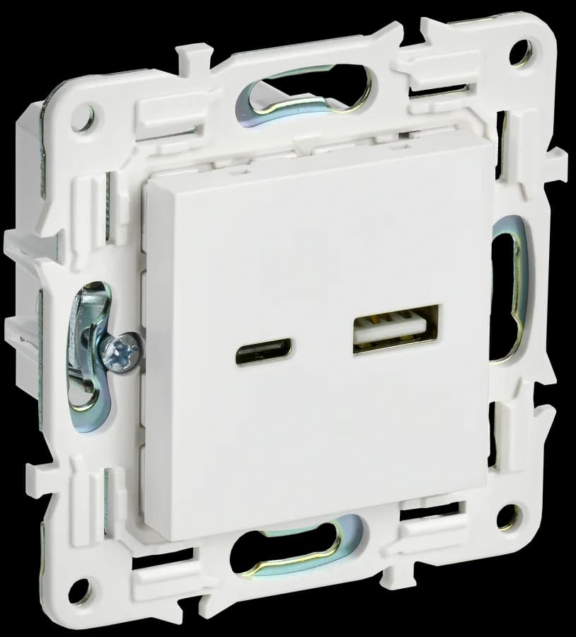 Розетка USB IEK SKANDY SK-U22-D31-K01 (белый арктический)