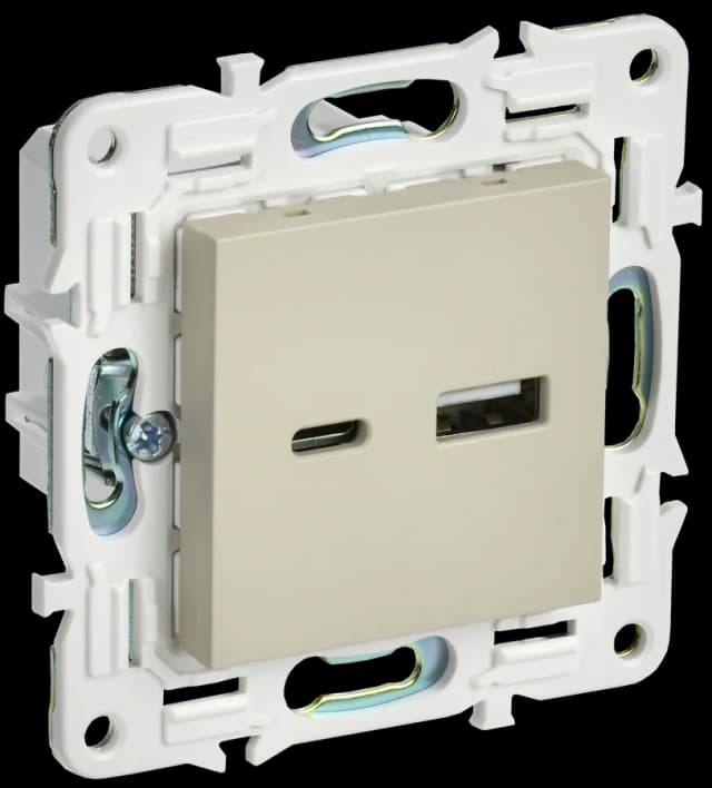 Розетка USB IEK SKANDY SK-U22-D31-K10 (бежевый)
