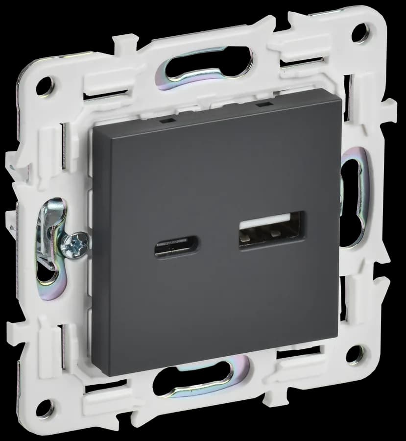 Розетка USB IEK SKANDY SK-U22-D31-K48 (титан)